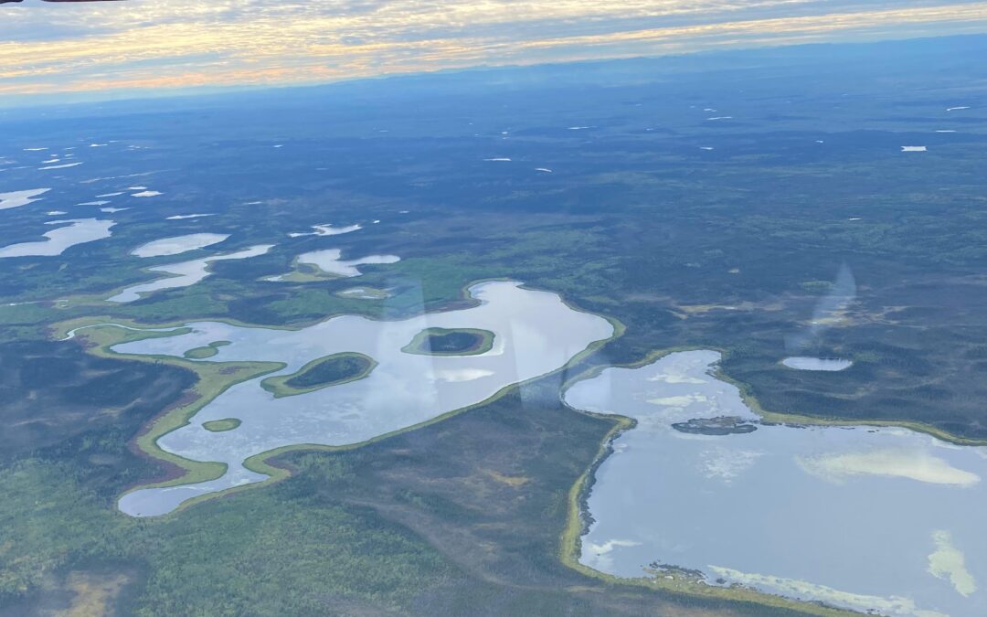 Alaska: Algo especial y único
